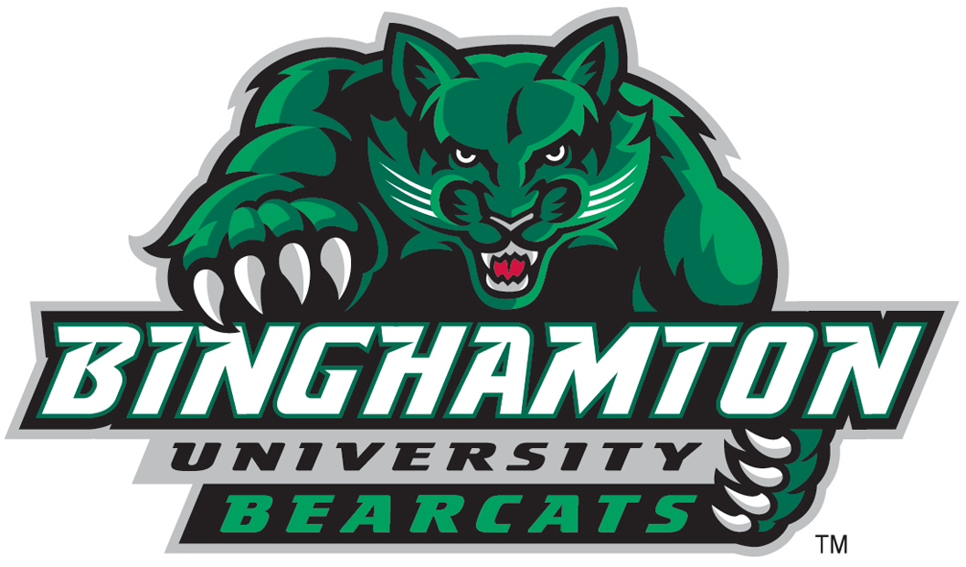 Binghamton Bearcats 2001-Pres Alternate Logo DIY iron on transfer (heat transfer)